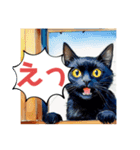 窓から水彩画ネコちゃんの短い言葉の一日。（個別スタンプ：6）