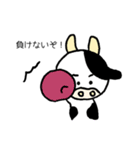 顔が丸い牛さんのスタンプ(入院中編)（個別スタンプ：24）