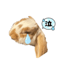 うさぎのフッくん2（個別スタンプ：5）