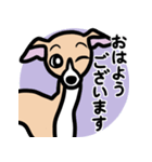 【フォーン2】1年中使えるイタグレスタンプ（個別スタンプ：1）