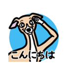 【フォーン2】1年中使えるイタグレスタンプ（個別スタンプ：2）
