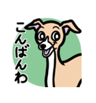 【フォーン2】1年中使えるイタグレスタンプ（個別スタンプ：3）