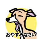 【フォーン2】1年中使えるイタグレスタンプ（個別スタンプ：4）