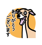 【フォーン2】1年中使えるイタグレスタンプ（個別スタンプ：5）