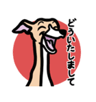 【フォーン2】1年中使えるイタグレスタンプ（個別スタンプ：6）