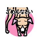 【フォーン2】1年中使えるイタグレスタンプ（個別スタンプ：7）