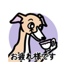 【フォーン2】1年中使えるイタグレスタンプ（個別スタンプ：8）