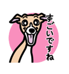 【フォーン2】1年中使えるイタグレスタンプ（個別スタンプ：14）