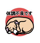 【フォーン2】1年中使えるイタグレスタンプ（個別スタンプ：20）