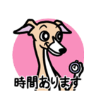 【フォーン2】1年中使えるイタグレスタンプ（個別スタンプ：21）