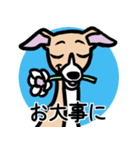 【フォーン2】1年中使えるイタグレスタンプ（個別スタンプ：23）