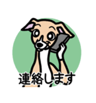 【フォーン2】1年中使えるイタグレスタンプ（個別スタンプ：24）