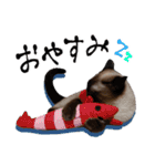 シャム猫おはぎとお友達（個別スタンプ：3）