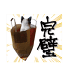 シャム猫おはぎとお友達（個別スタンプ：18）