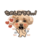 ロコモコのスタンプ.（個別スタンプ：5）