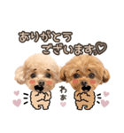 ロコモコのスタンプ.（個別スタンプ：6）