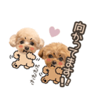 ロコモコのスタンプ.（個別スタンプ：10）