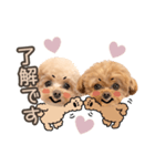 ロコモコのスタンプ.（個別スタンプ：12）