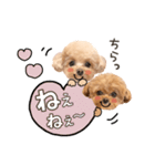 ロコモコのスタンプ.（個別スタンプ：24）