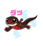 アカハライモリちゃん（個別スタンプ：12）