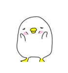 怒りのモチトリ（個別スタンプ：34）