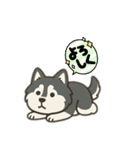 はっぴーわんずスタンプ（個別スタンプ：5）
