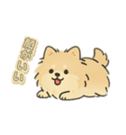 はっぴーわんずスタンプ（個別スタンプ：8）