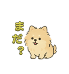 はっぴーわんずスタンプ（個別スタンプ：9）