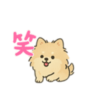 はっぴーわんずスタンプ（個別スタンプ：10）