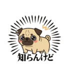パグとチワワのmix犬『リーチ』のスタンプ（個別スタンプ：3）