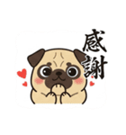 パグとチワワのmix犬『リーチ』のスタンプ（個別スタンプ：4）