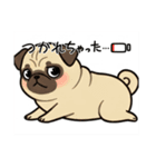 パグとチワワのmix犬『リーチ』のスタンプ（個別スタンプ：6）