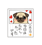 パグとチワワのmix犬『リーチ』のスタンプ（個別スタンプ：8）