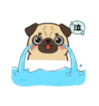 パグとチワワのmix犬『リーチ』のスタンプ（個別スタンプ：9）