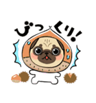パグとチワワのmix犬『リーチ』のスタンプ（個別スタンプ：10）