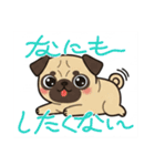パグとチワワのmix犬『リーチ』のスタンプ（個別スタンプ：12）