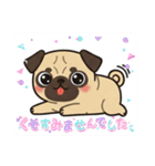 パグとチワワのmix犬『リーチ』のスタンプ（個別スタンプ：15）