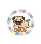 パグとチワワのmix犬『リーチ』のスタンプ（個別スタンプ：18）