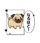パグとチワワのmix犬『リーチ』のスタンプ（個別スタンプ：23）