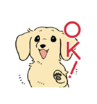 陽気なダックスフンド・イエロー（個別スタンプ：1）