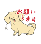 陽気なダックスフンド・イエロー（個別スタンプ：6）