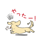 陽気なダックスフンド・イエロー（個別スタンプ：14）