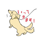 陽気なダックスフンド・イエロー（個別スタンプ：22）