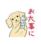 陽気なダックスフンド・イエロー（個別スタンプ：27）