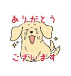 陽気なダックスフンド・イエロー（個別スタンプ：38）