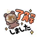 わが家のニャンTube☆むぎちゃん（個別スタンプ：3）