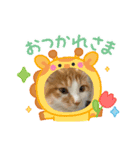 わが家のニャンTube☆むぎちゃん（個別スタンプ：7）