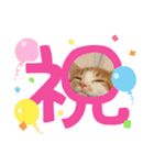 わが家のニャンTube☆むぎちゃん（個別スタンプ：8）