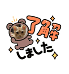 わが家のニャンTube☆コタローシリーズ（個別スタンプ：8）