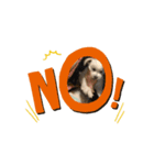 動くけぽてぃ （犬）（個別スタンプ：2）